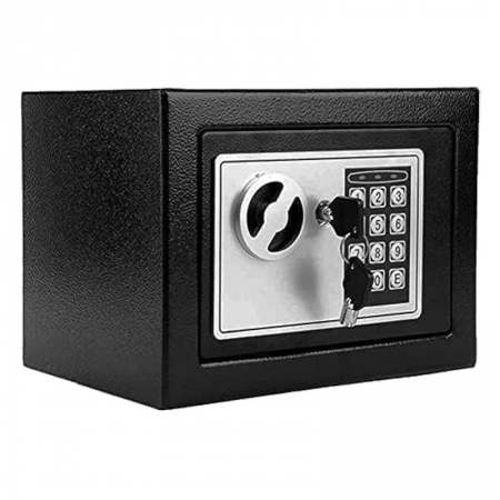 Electronic Standard Password Safe